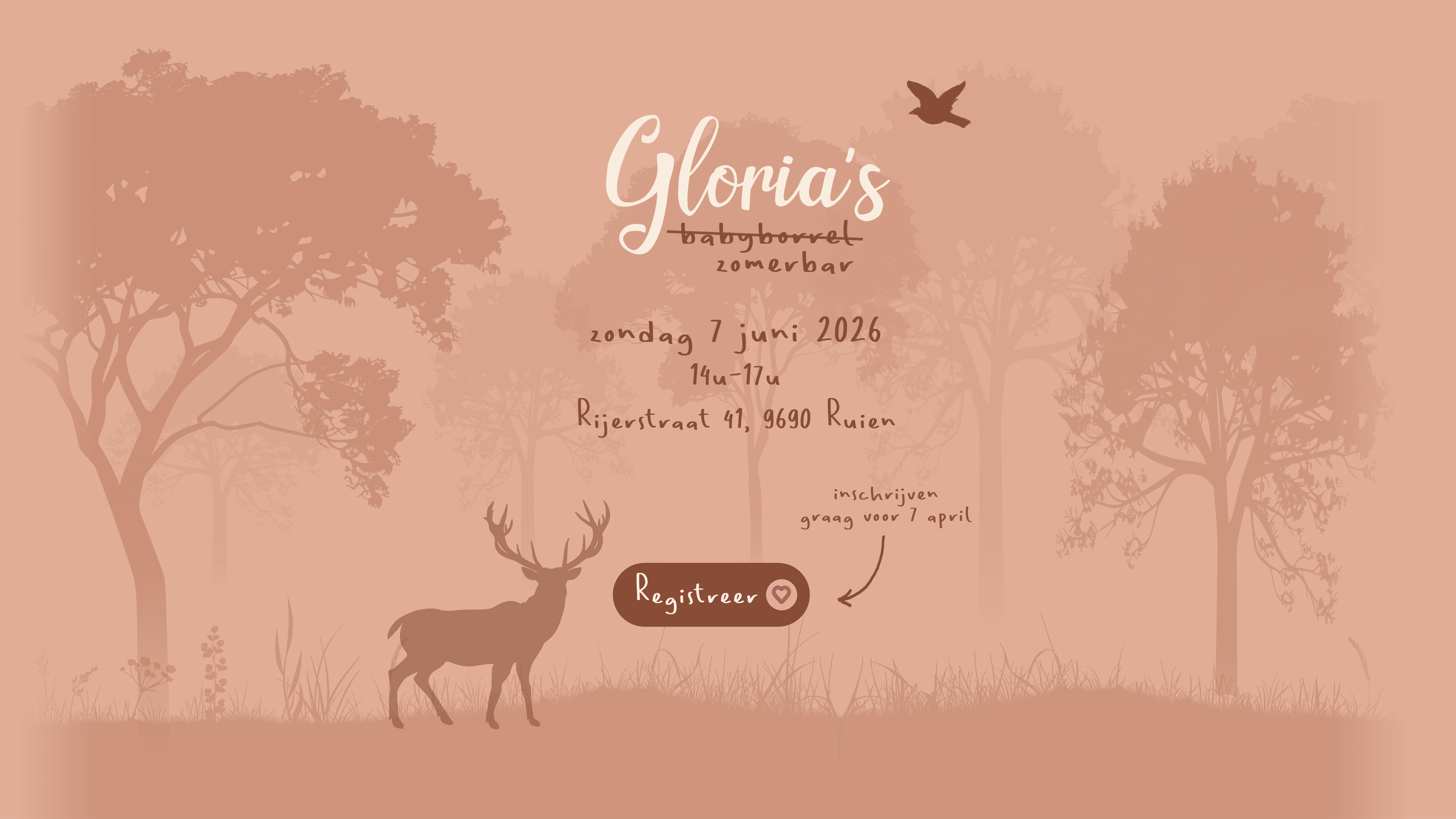 Babyborrel Gloria